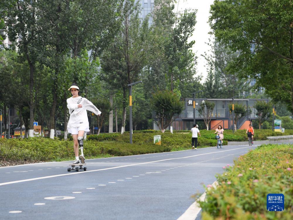 百家什乐鲨鱼分析软件